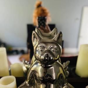 Meet your Posher, Daisy